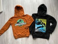 Hoodie, Dino, Jurassic, Gr. 122/128 Sachsen - Haselbachtal Vorschau