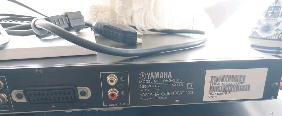 Yamaha DVD Player top Zustand in Stade
