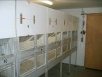 Zucht und Paarungskäfige für papageien ( Käfig - Voliere ) Nordrhein-Westfalen - Mönchengladbach Vorschau