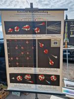 Wandtafel, Künstliche Atomumwandlung, 1955 Rheinland-Pfalz - Dunzweiler Vorschau