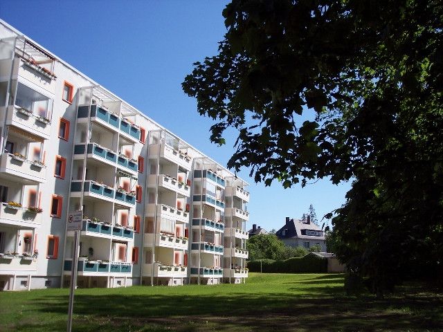 3-Raum-Wohnung mit Balkon und Abstellraum im BOHO-Style in Chemnitz