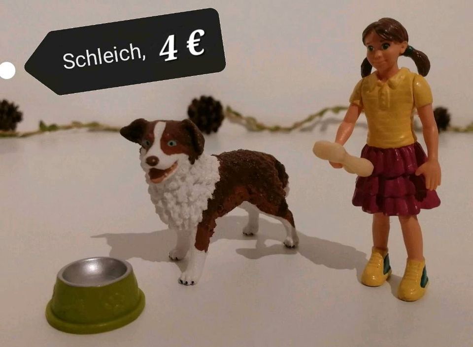 Schleich/Bayala:Fee,Elfe,Hund,Pferd,Zäune,Prinz,Prinzessin in Goch