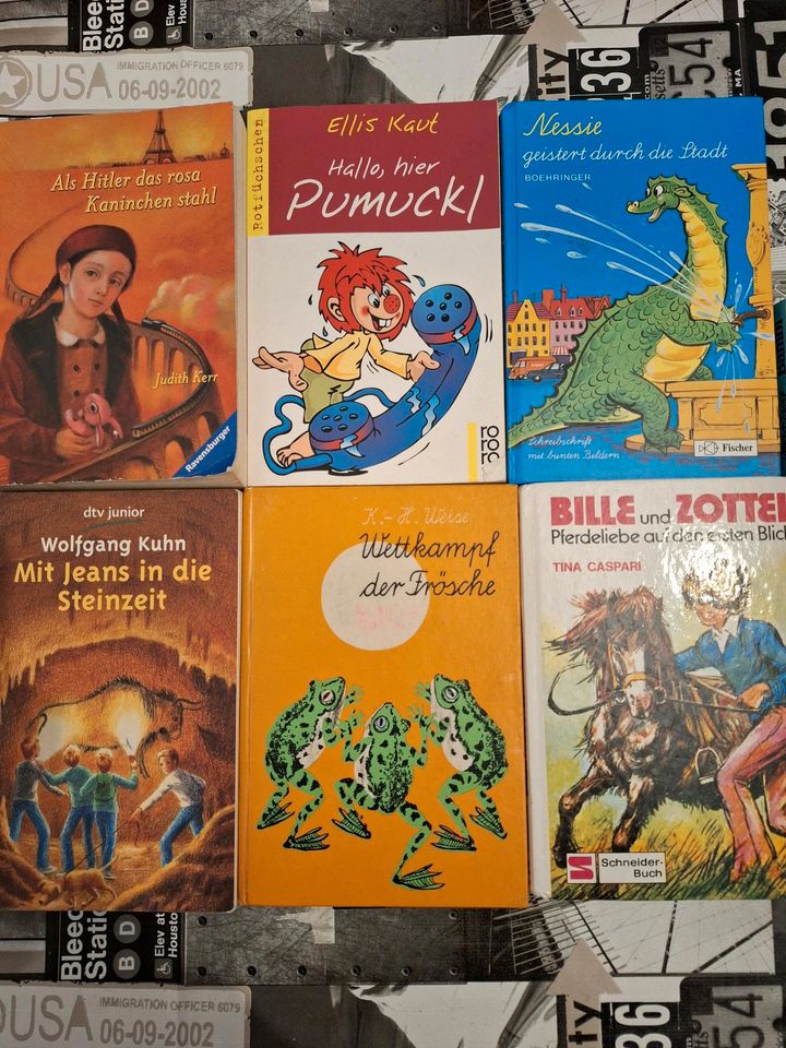 Verschiedene Kinderbücher in Neumünster