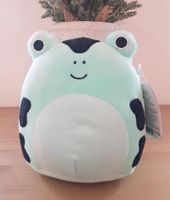 Squishmallows Dear Frosch Giftpfeilfrosch Niedersachsen - Winsen (Luhe) Vorschau