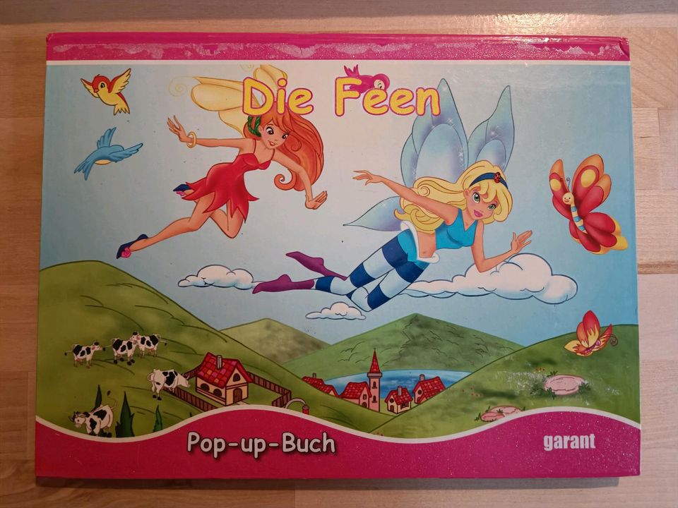 Pop Up Buch "Die Feen" Kinderbuch Bilderbuch in Erfurt