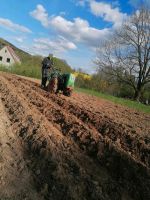 Kartoffeln pflanzen, Garten, Gemüse, Feld, Nordrhein-Westfalen - Bad Oeynhausen Vorschau