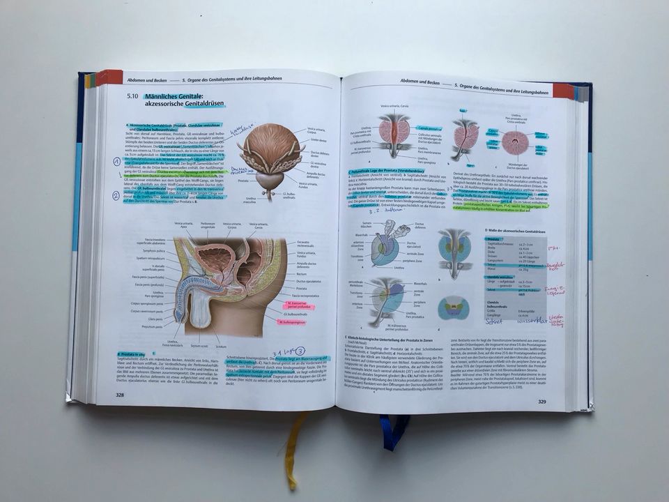 Prometheus Innere Organe Medizin Anatomie 3. Auflage VB in Göttingen