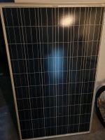 PV SOLARMODUL TRINA Bayern - Ingolstadt Vorschau