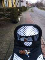 Kinderwagen Brandenburg - Altlandsberg Vorschau