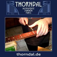 Der THORNDAL Repairshop bietet an: E-Gitarre Bünde abrichten Bayern - Bad Berneck i. Fichtelgebirge Vorschau