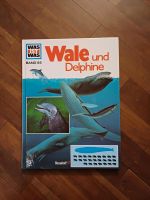 Buch Was ist Was Wale und Delphine Band 85 Bayern - Berching Vorschau