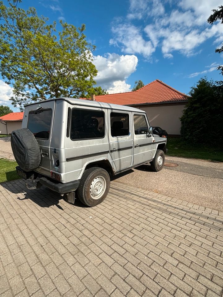 Mercedes G Puch G in Passau