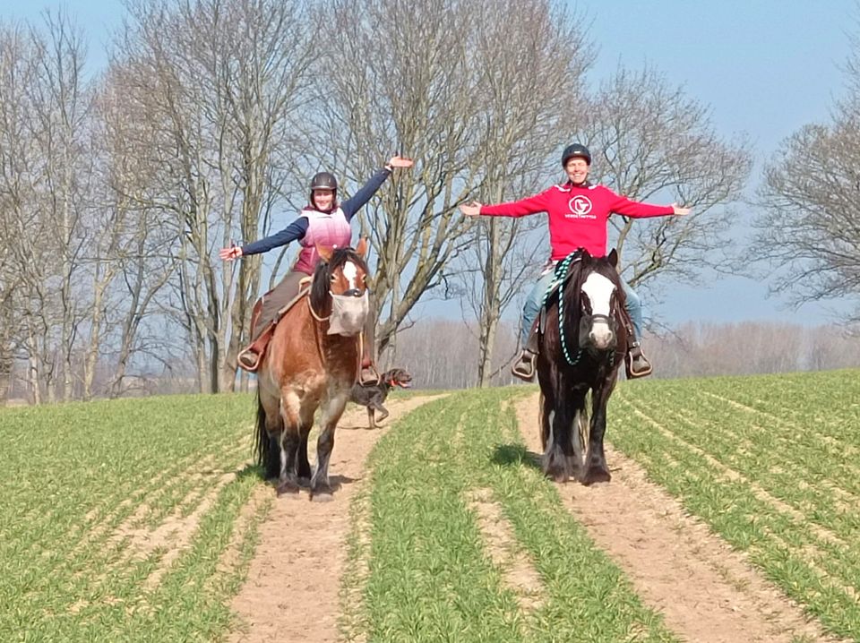 Pferdeurlaub Ostsee alleinreisende Frauen Reiterferien Erwachsene in Saatel