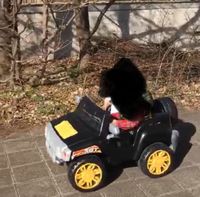 Kinder Elektro-Auto für Evasion 12V Schwarz Auto Nürnberg (Mittelfr) - Nordstadt Vorschau