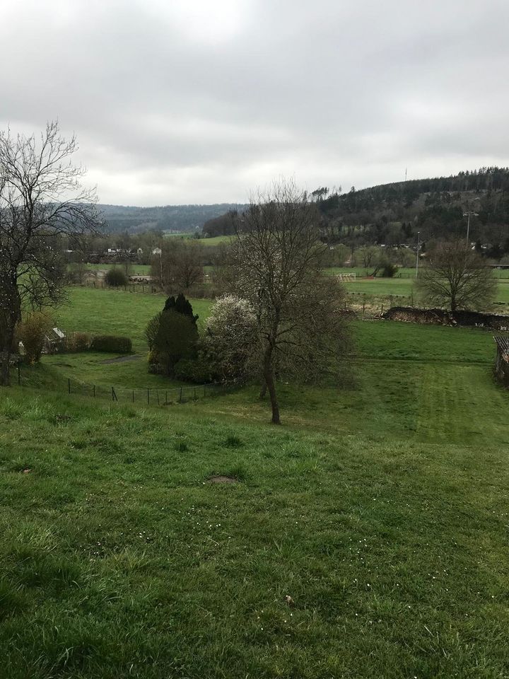 Baugrundstück - Lippoldsberg / Wesertal in Wahlsburg