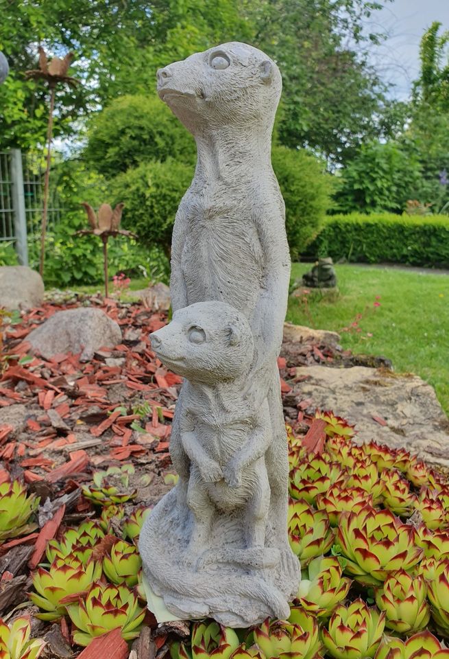 Erdmännchen Surikate Dekofigur Tierfigur Skulptur Beton NEU in Bissendorf