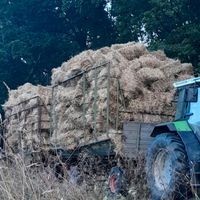 Stroh Kleinballen, HD-Ballen Niedersachsen - Barwedel Vorschau