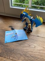 Playmobil Dragons 9247 Astrid und Sturmpfeil komplett Nordrhein-Westfalen - Stolberg (Rhld) Vorschau