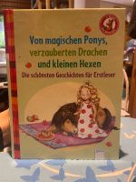 Pony Drachen und Hexen Fantasiegeschichten, Buch Erstleser Dresden - Schönfeld-Weißig Vorschau