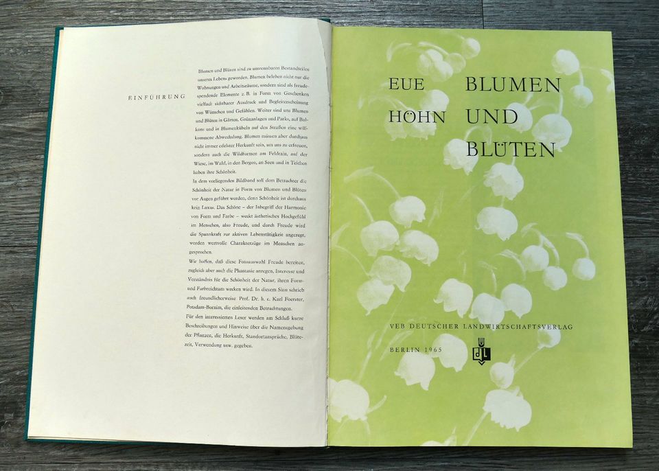 Blumen und Blüten, Pflanzenkunde, Flora, DDR, 1965, Eue, Höhn,VEB in Habichtswald