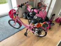 Puky Prinzessin Lillifee / E-Bike Umbau / 16“ Zoll Baden-Württemberg - Nürtingen Vorschau