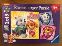 Ravensburger Paw Patrol Puzzle 3 x 49 Teile - Skye + Everest Bayern - Obing Vorschau