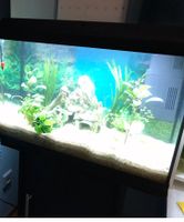 Juwel Aquarium mit Unterschrank Bayern - Kolbermoor Vorschau