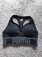 Puma Sport BH Niedersachsen - Buxtehude Vorschau
