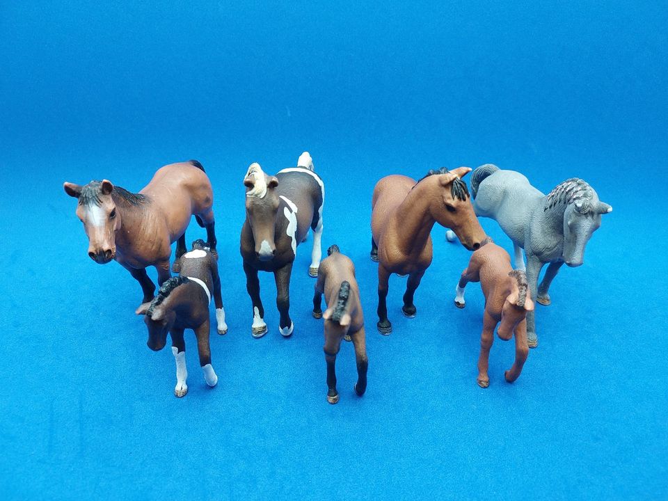 Schleich Pferde Warmblut Mustang Trakehner Bashkir… in Aalen