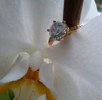 55€ inkl. Versand * NEU* PANDORA* Ring* SCHMUCK* Gr. 52* Hamburg-Nord - Hamburg Winterhude Vorschau