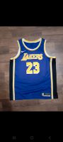 Nike Lebron James NBA Trikot gr XL Bergedorf - Hamburg Billwerder Vorschau