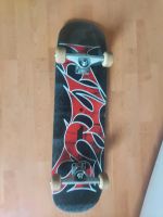 Titus deck skateboard Niedersachsen - Bad Pyrmont Vorschau