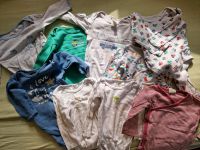 10 Langarm Bodys H&M,Topomini,Babyclub, Primark, Gr. 80 Dresden - Blasewitz Vorschau