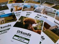 Geschenktipp: Einjährige Alpaka-Patenschaft, Tierpatenschaft Nordrhein-Westfalen - Ennigerloh Vorschau