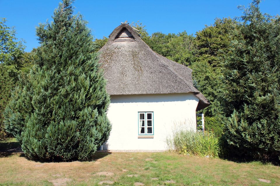 Reetdachhaus nah an der Schlei - Private Ferienwohnung ‟ in Steinfeld