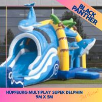 Hüpfburg Multiplay Super Delphin 9m x 5m zu vermieten Bayern - Goldbach Vorschau