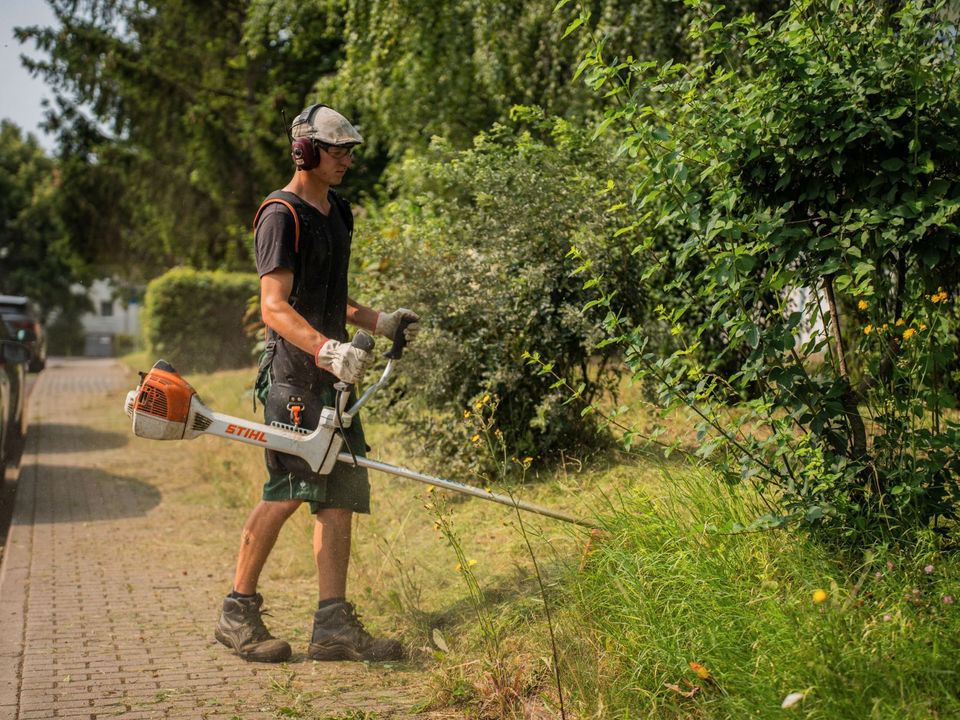 Grünpflege Gartenpflege Heckenschnitt Rasenpflege Rasen mähen in Mansfeld