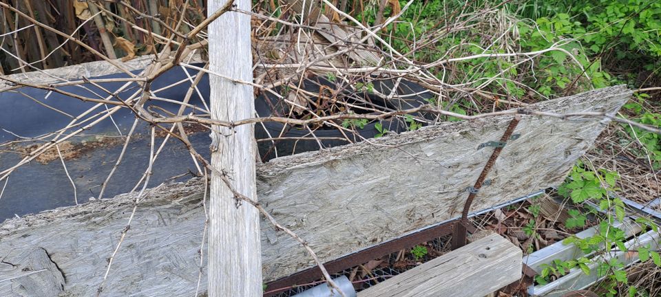 Förderband 6m 380V inkl. massives Sieb in Stadtroda