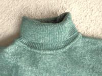 PULLI Rollkragen GRÜN meliert TOM TAILOR unisex WOLLE wie neu M/L Brandenburg - Potsdam Vorschau