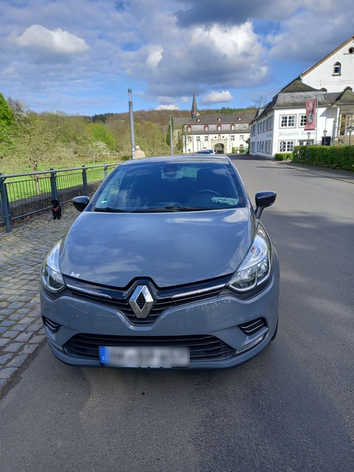 Renault Clio in Steinebach (Sieg)