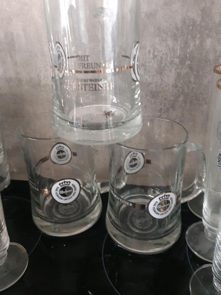 Warsteiner Biergläser Glas Gläser Krug Krüge ab in Dülmen