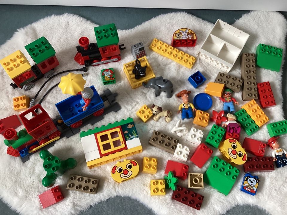 Lego Duplo Set ❤️ Tiere Eisenbahn Zirkus ❤️ Zoohandlung Figuren in Waldkirch