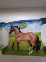 Breyer Bay Roan Australian Stock Horse Nordrhein-Westfalen - Bocholt Vorschau