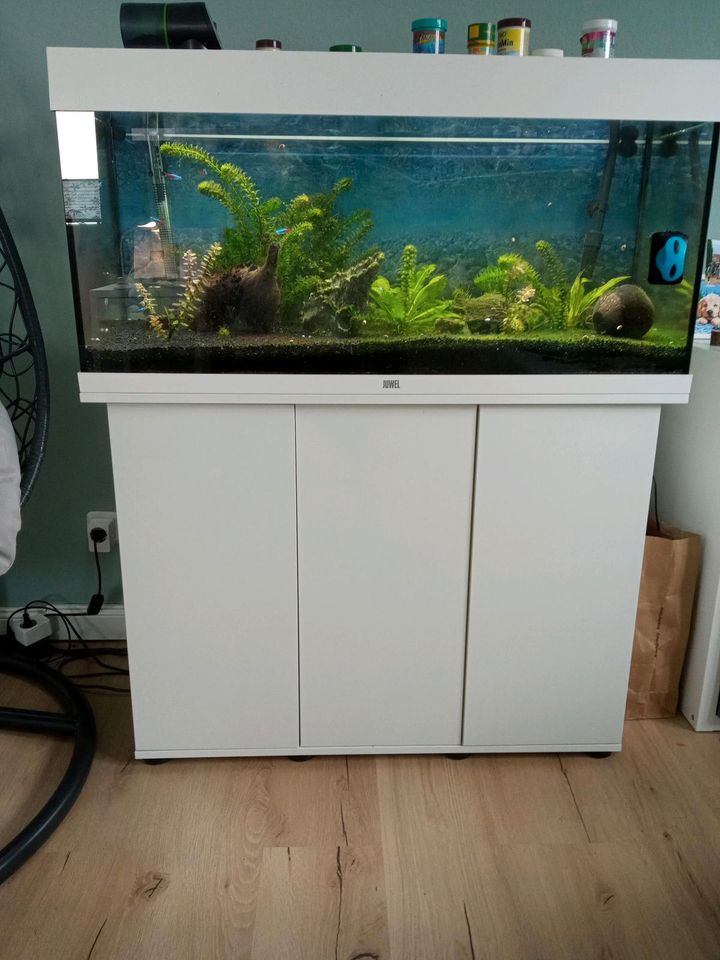 Aquarium 180 l von Juwel in Mechernich