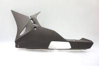 Bug Verkleidung links Fairing Cover BMW S 1000 RR K46 M863 Nordrhein-Westfalen - Bad Salzuflen Vorschau