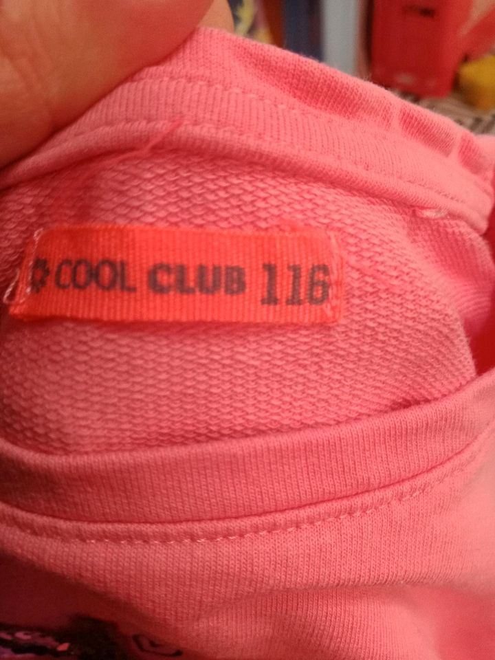 Pulli von Cool Club in Düsseldorf