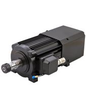 Isel iSA 2200 HF-Spindel 2,2 KW 20.000 rpm. SK20 Frässpindel Fräs Hessen - Alheim Vorschau