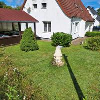 Doppelhaushälfte auf der Insel Rügen mit Waldfläche und Garten Mecklenburg-Vorpommern - Putbus Vorschau