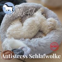 Unsere CallMeFilou - Antistress-Schlafwolke Hundebett, Katzenbett Hessen - Fuldabrück Vorschau