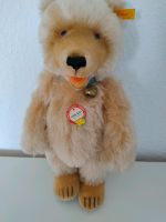 Steiff Teddy Baby Replica 1930 mit allen Schildern / 35 cm Kreis Pinneberg - Kummerfeld Vorschau